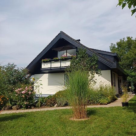 Ferienwohnung Sylvia Michelstadt Exteriér fotografie