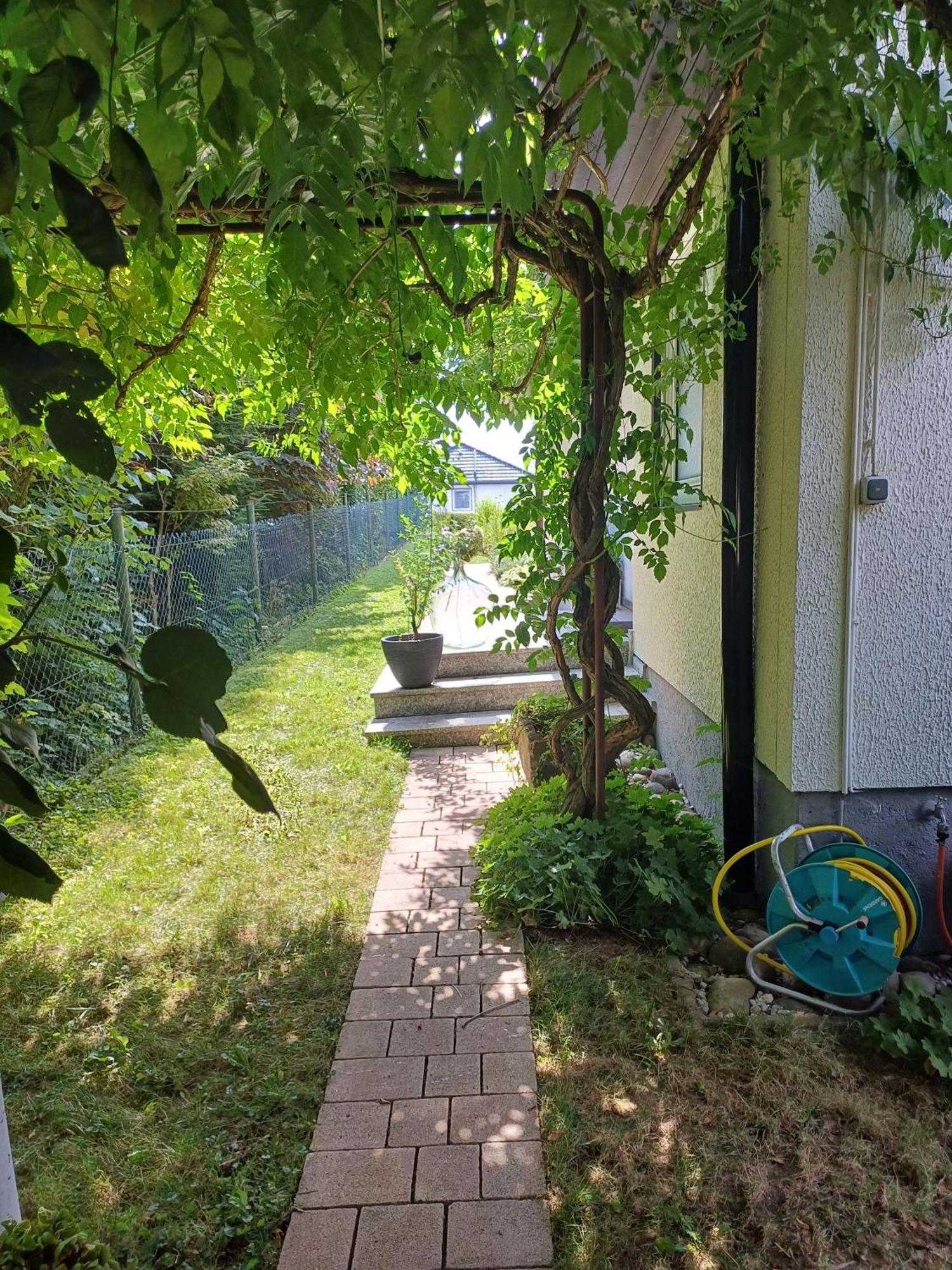 Ferienwohnung Sylvia Michelstadt Exteriér fotografie